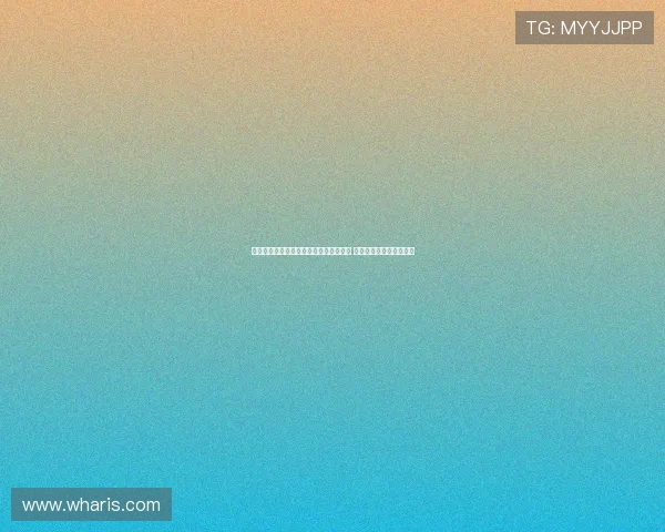 浙江男篮续约吴前刘泽一王仔路三大主力 余嘉豪留洋后新阵容启航