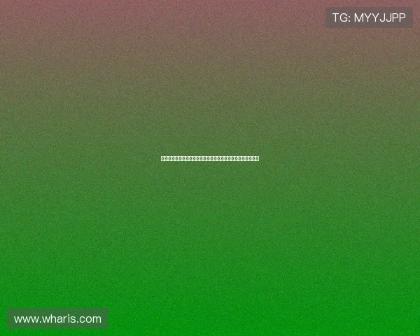 陈梦观礼阅兵樊振东回国参战王楚钦解锁新身份助力国乒新征程 陈梦观礼阅兵樊振东回国参战王楚钦解锁新身份助力国乒新征程