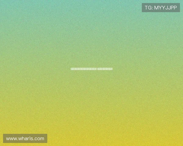 阿拉基未抵吉达缺席黎巴嫩男篮媒体照 担忧缺阵小组赛几率低